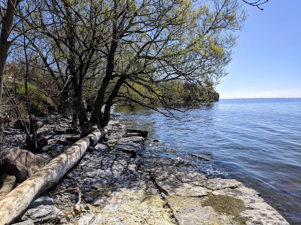 Old Front Road Shingle Beach | 1101-935 Old Front Rd, Kingston, ON K7M 4M2, Canada