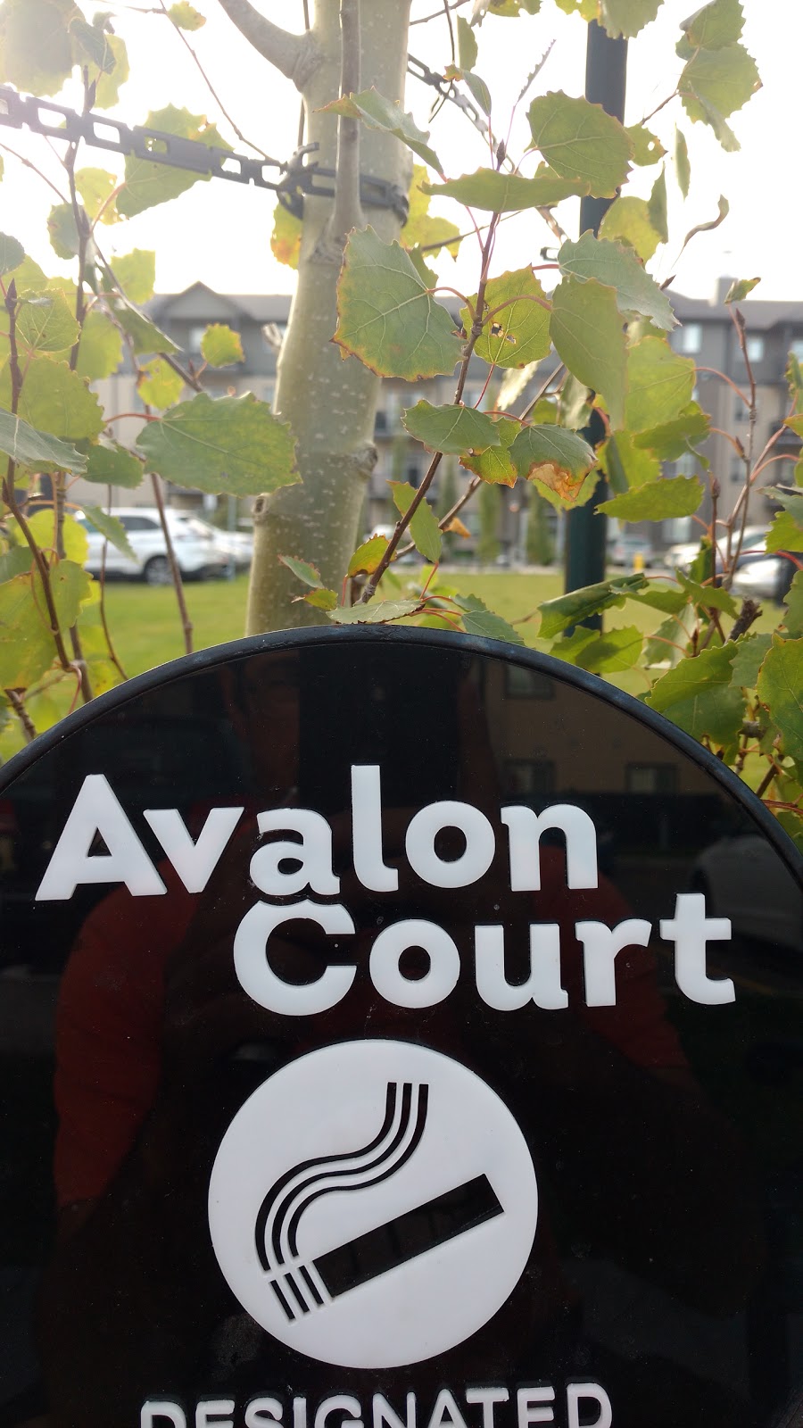 Avalon Court | 5008 4 Ave SW, Edmonton, AB T6X 1V3, Canada | Phone: (855) 247-1492