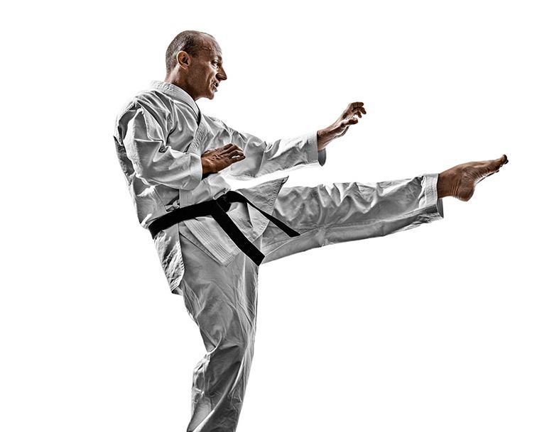 Dynamic Karate | 150 Violet Dr, Hamilton, ON L8E 6B4, Canada | Phone: (905) 928-5425