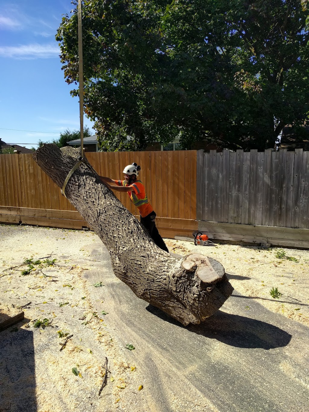 Nimigon Tree Service | 2139 Chemong Rd RR1, Peterborough, ON K9J 6X2, Canada | Phone: (705) 743-4269