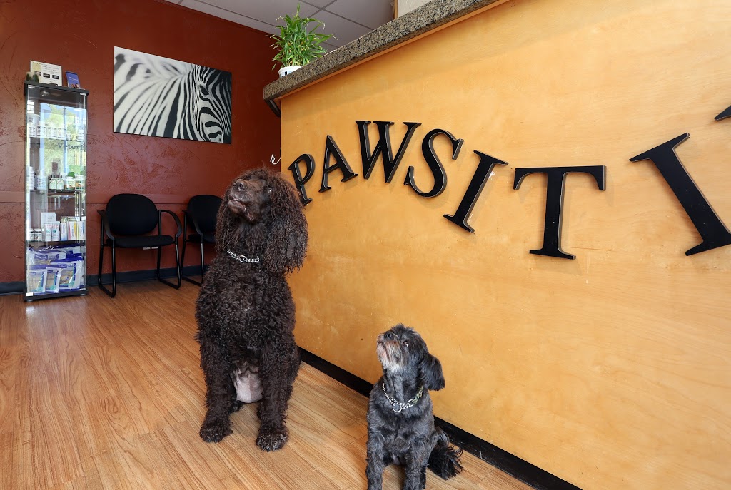 Pawsitive Veterinary Care | 1551 Sutherland Ave, Kelowna, BC V1Y 9M9, Canada | Phone: (250) 862-2727