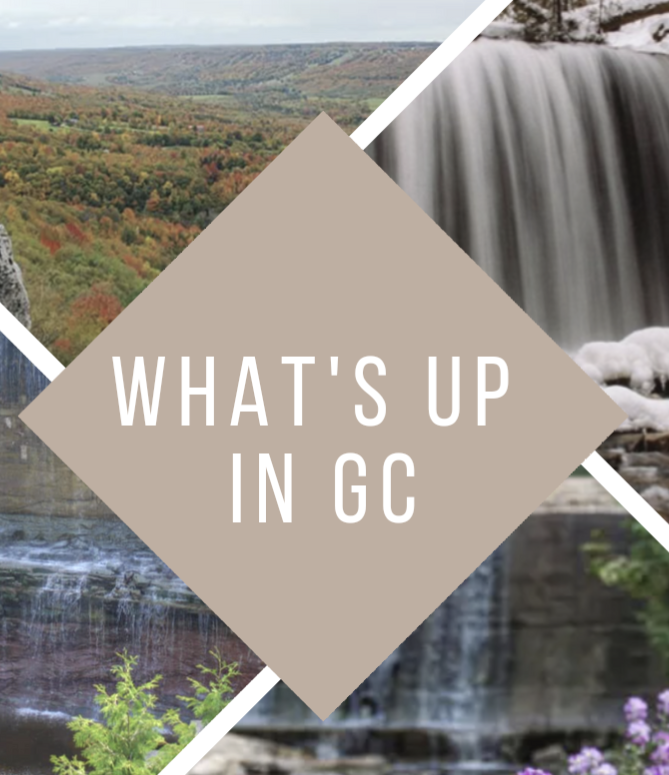 Whats Up in Grey County | Collingwood St, Flesherton, ON N0C 1E0, Canada | Phone: (705) 441-2585