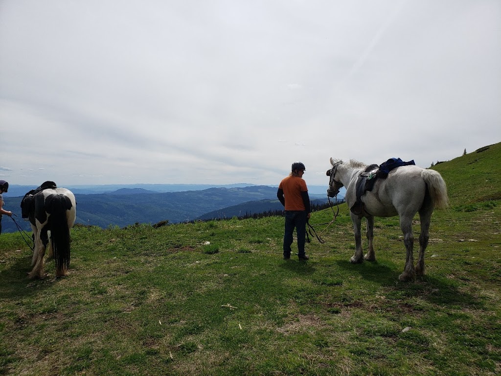 Sun Peaks Stables | Unnamed Road, Heffley Creek, BC V0E 1Z1, Canada | Phone: (250) 572-1325