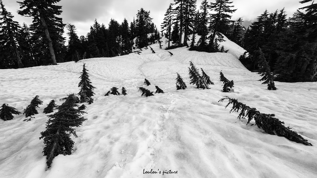 Goat Ridge Route | Goat Ridge Rte, North Vancouver, BC V7K 1X8, Canada