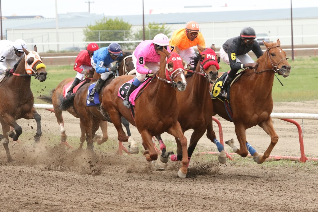 Rocky Mountain Turf Club | 3401 Parkside Dr S, Lethbridge, AB T1J 4B3, Canada | Phone: (403) 380-1905