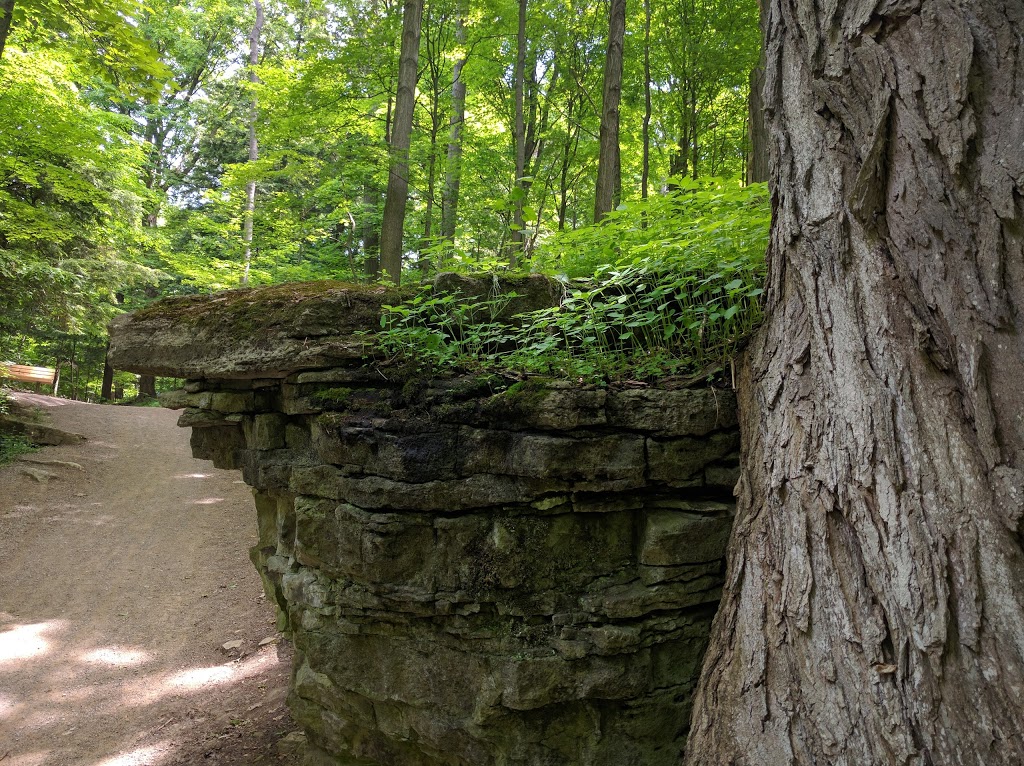 Dundas Main Loop | Bruce Trail, Dundas, ON L9H 5E3, Canada