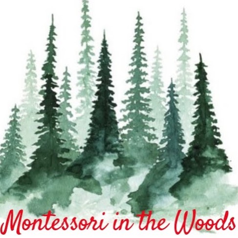 Montessori in the Woods | 1261 N Sheridan Way, Mississauga, ON L5H 2A3, Canada | Phone: (416) 889-1192