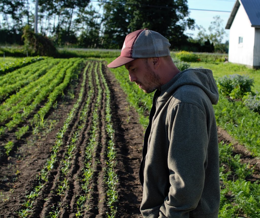 Ferme la Roquette | 42 Route du Canton, Brownsburg, QC J8G 1Y7, Canada | Phone: (450) 331-1342