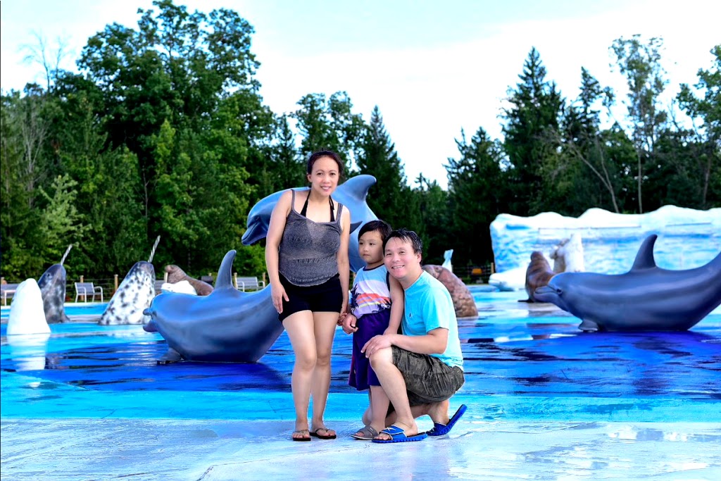 Polar Splash | MarineLand, 7657 Portage Rd, Niagara Falls, ON L2E 6X8, Canada | Phone: (905) 356-9565