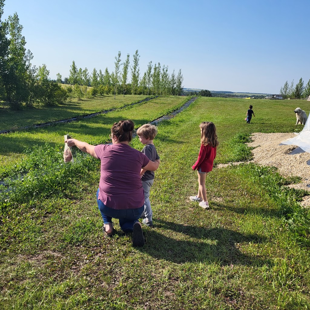 Gathered and Grown Family Farm | RR 3 Site 5, Rimbey, AB T0C 2J0, Canada | Phone: (403) 877-4031