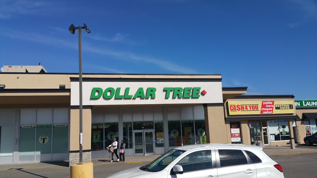 Dollar Tree | 2291 Kipling Ave, Etobicoke, ON M9W 4L6, Canada | Phone: (416) 749-8900