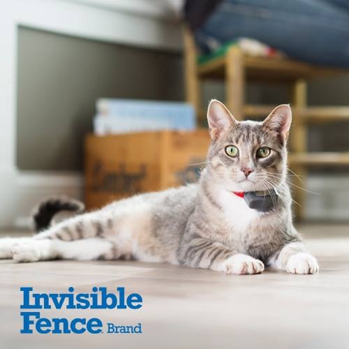 Invisible Fence Brand By Hastings Pet Services | 470 Dundas St E #2, Belleville, ON K8N 1G1, Canada | Phone: (613) 966-2263
