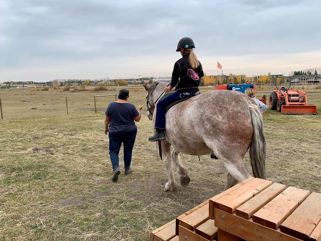 Discovering the Horse | 243201 Range Rd 33, Calgary, AB T3Z 2E6, Canada | Phone: (403) 242-7648