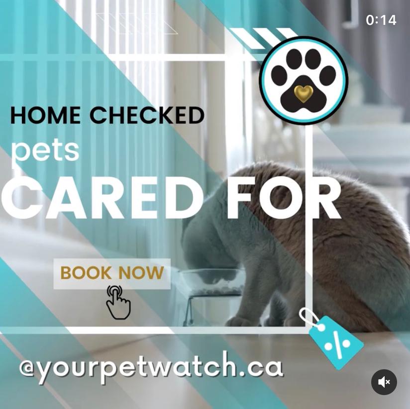 your PetWatch Red Deer | Red Deer County, 28319 Township Rd 384, Red Deer, AB T4S 2A4, Canada | Phone: (403) 350-8861