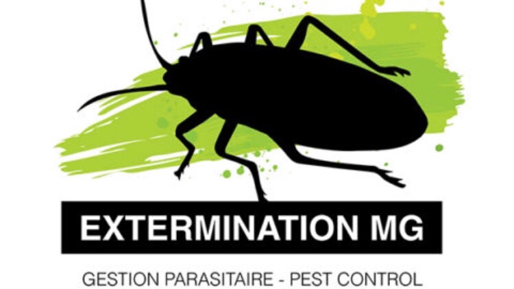 Exterminateur Boisbriand-Extermination MG | 81 Chemin de la Grande-Côte, Rosemère, QC J7A 1H1, Canada | Phone: (438) 524-2514