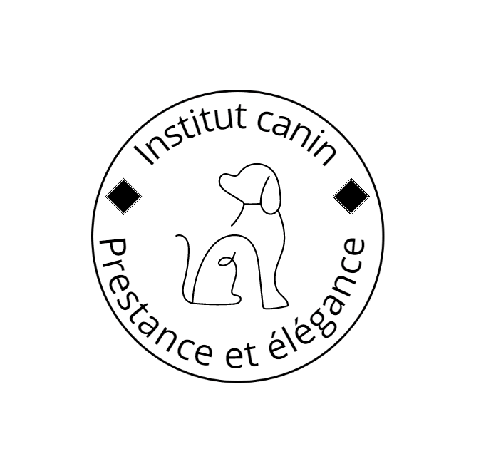 Institut canin prestance et élégance | 675 Rte du Président-Kennedy #103, Lévis, QC G6C 1E1, Canada | Phone: (581) 984-8760