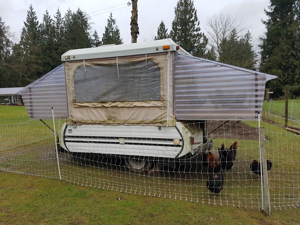 Crooked Fence Farm | 24977 72 Ave, Langley City, BC V4W 1J1, Canada | Phone: (604) 513-4772