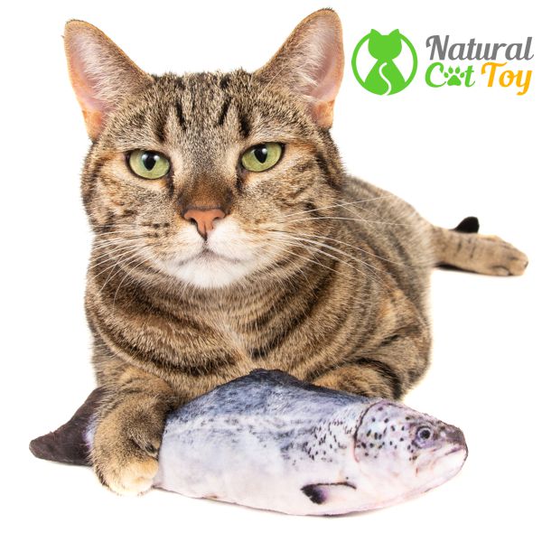 Natural Cat Toy | 10511 Odlin Rd, Richmond, BC V6X 1E3, Canada | Phone: (778) 803-1280