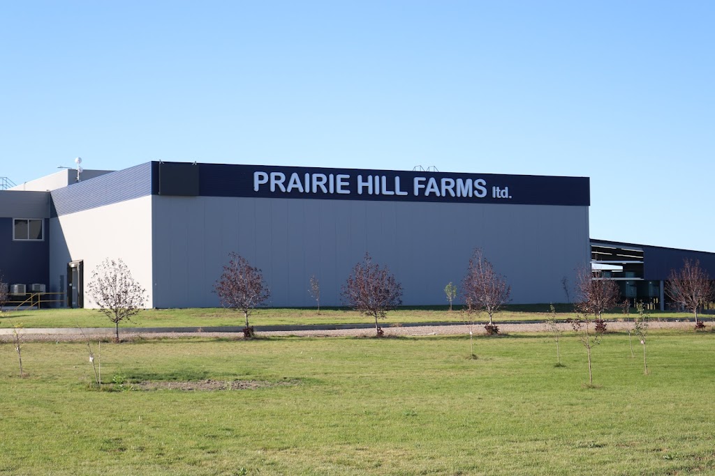 Prairie Hill Farms Ltd. | 105078 Range Rd 211, Picture Butte, AB T0K 1V0, Canada | Phone: (587) 328-3212