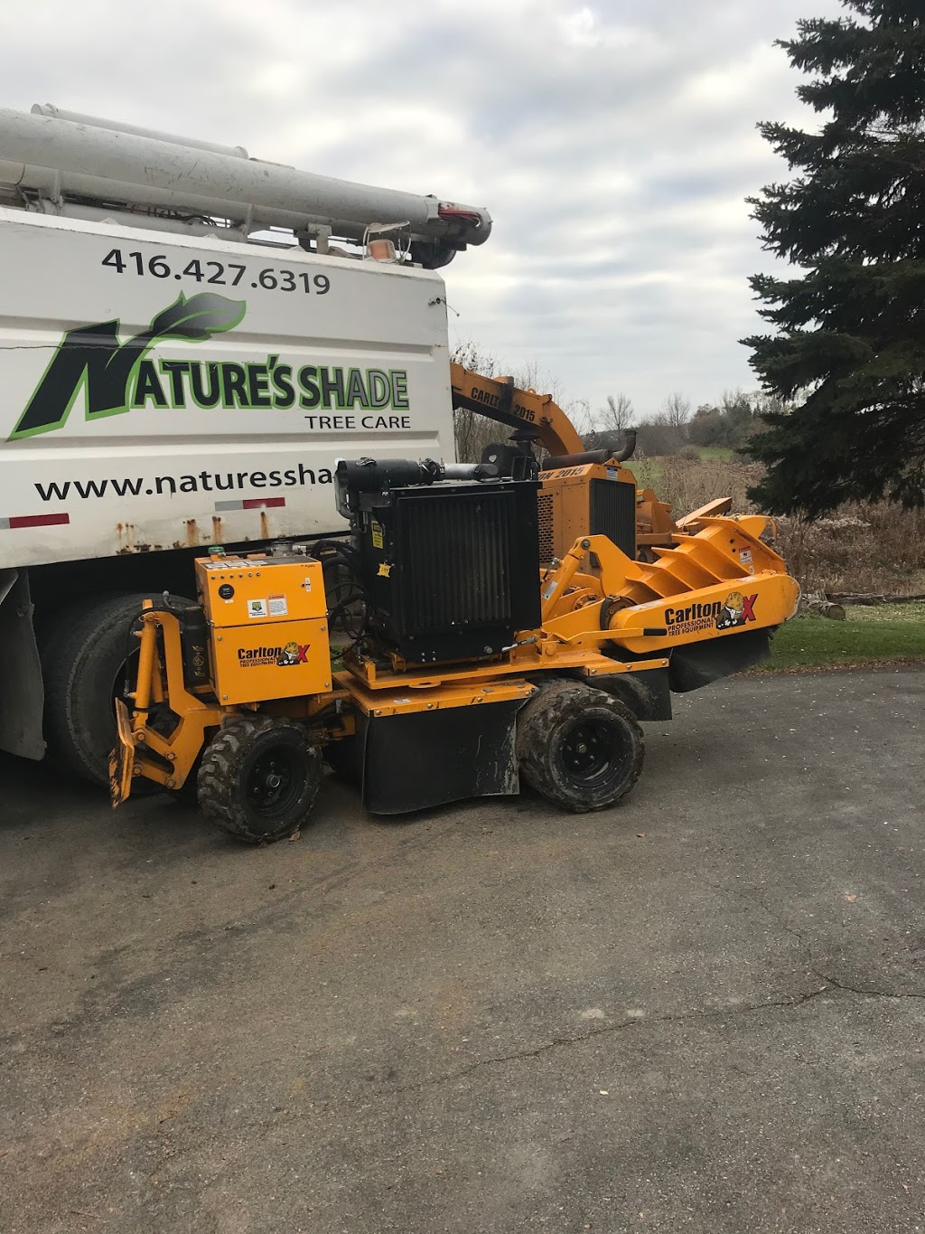 Natures Shade Tree Care | 50 Queen St, Schomberg, ON L0G 1T0, Canada | Phone: (416) 427-6319