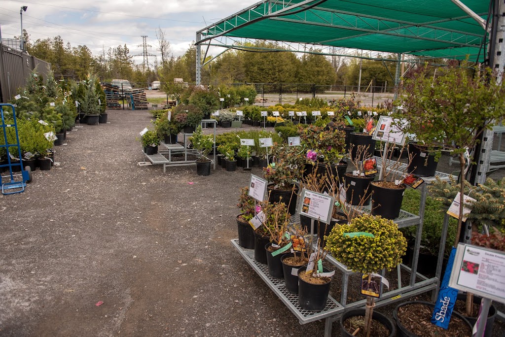 Marshalls Nursery and Garden | 3874 Princess St, Kingston, ON K7P 0H7, Canada | Phone: (613) 384-1522