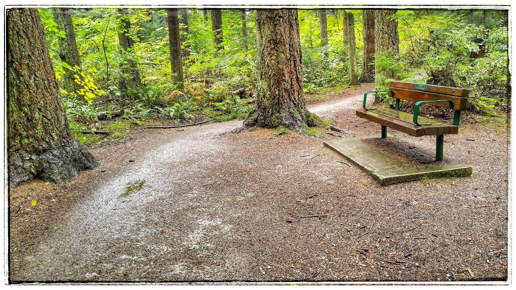 Ubc Endowment Lands Ecological Reserve | Greater Vancouver A, BC V6S, Canada