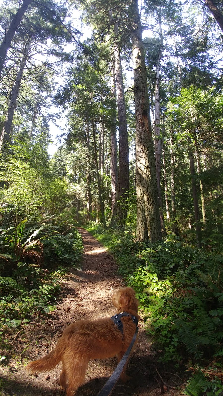 Pass Lake Trailhead | Fidalgo Island, Anacortes, WA 98221, USA