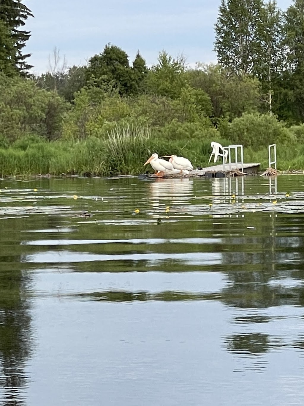 KAYAKOMAT Pigeon Lake Provincial Park, Day Use Area | 15072 Township Rd 470, Pigeon Lake, AB T0C 2C0, Canada | Phone: (780) 514-8751