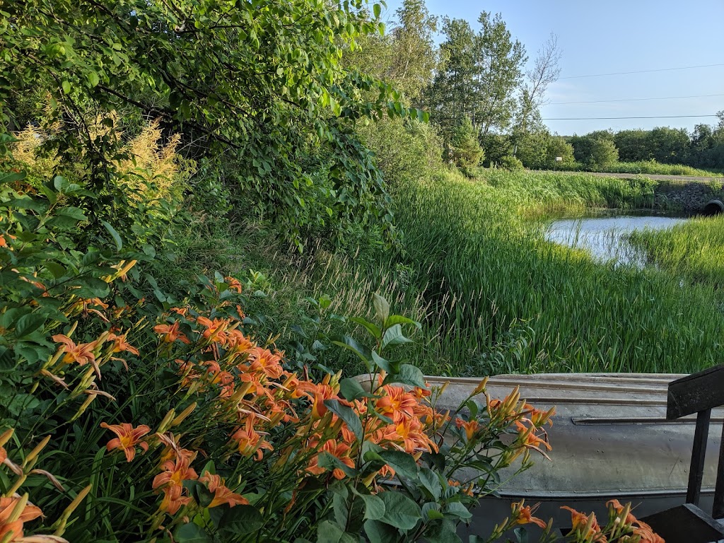 Domaine Sur Une Plage | 2186 Chem. du Lac, Saint-Félicien, QC G8K 3E5, Canada | Phone: (418) 679-8937