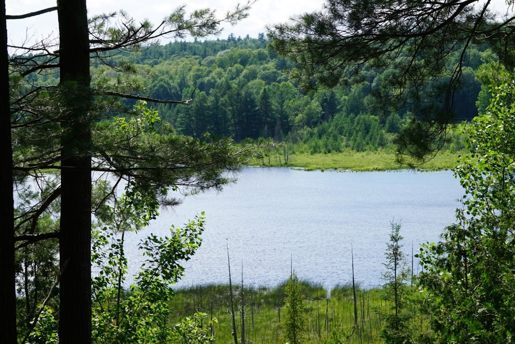 Purdon Conservation Area | Concession Rd 8, Lanark Highlands, ON K0G 1M0, Canada | Phone: (613) 253-1756