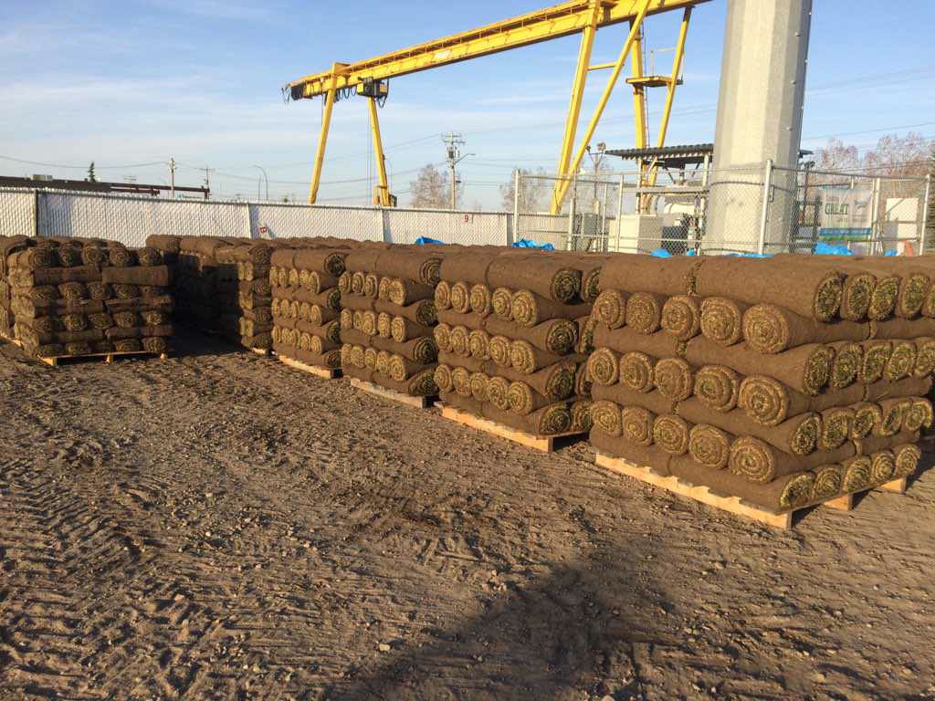 Manderley Turf Products Calgary | 3090 52 St SE, Calgary, AB T2B 1N2, Canada | Phone: (888) 225-3885