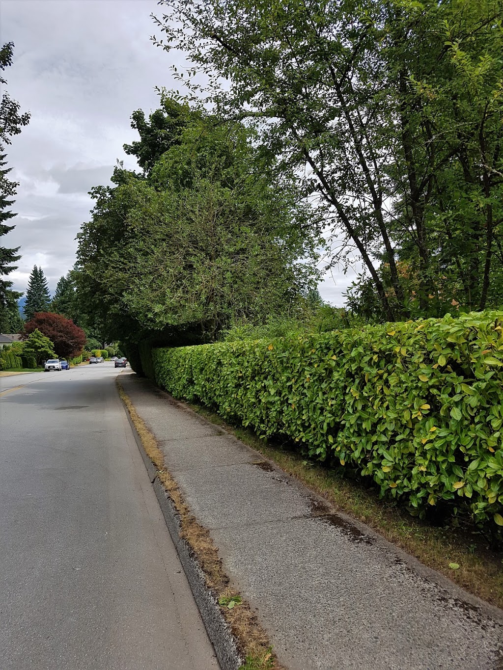 ArborGreen Tree Service North Vancouver | 83 - 1050 Premier St, North Vancouver, BC V7J 2H2, Canada | Phone: (778) 288-2521