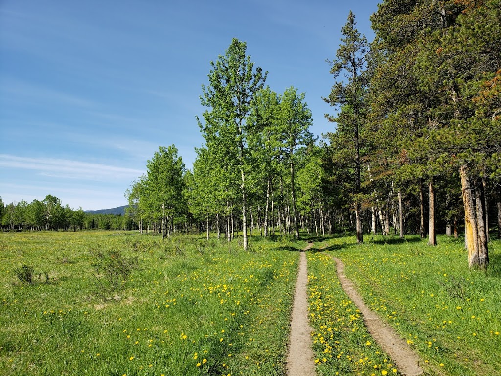 Sulphur Springs Trail | Sulphur Springs Trail, Bragg Creek, AB T0L 0K0, Canada