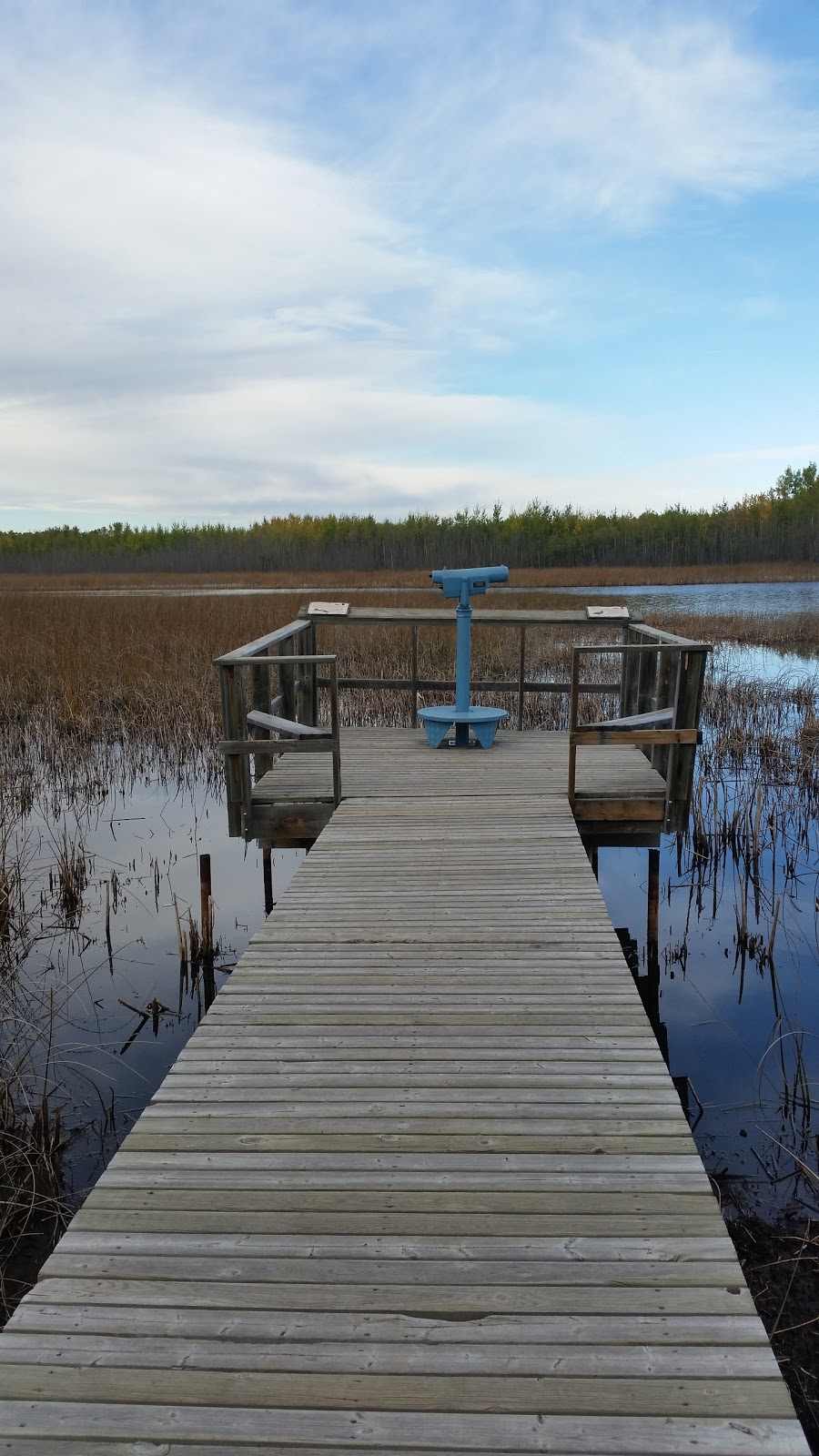 Clifford E. Lee Nature Sanctuary | Spruce Grove, AB T7Y, Canada