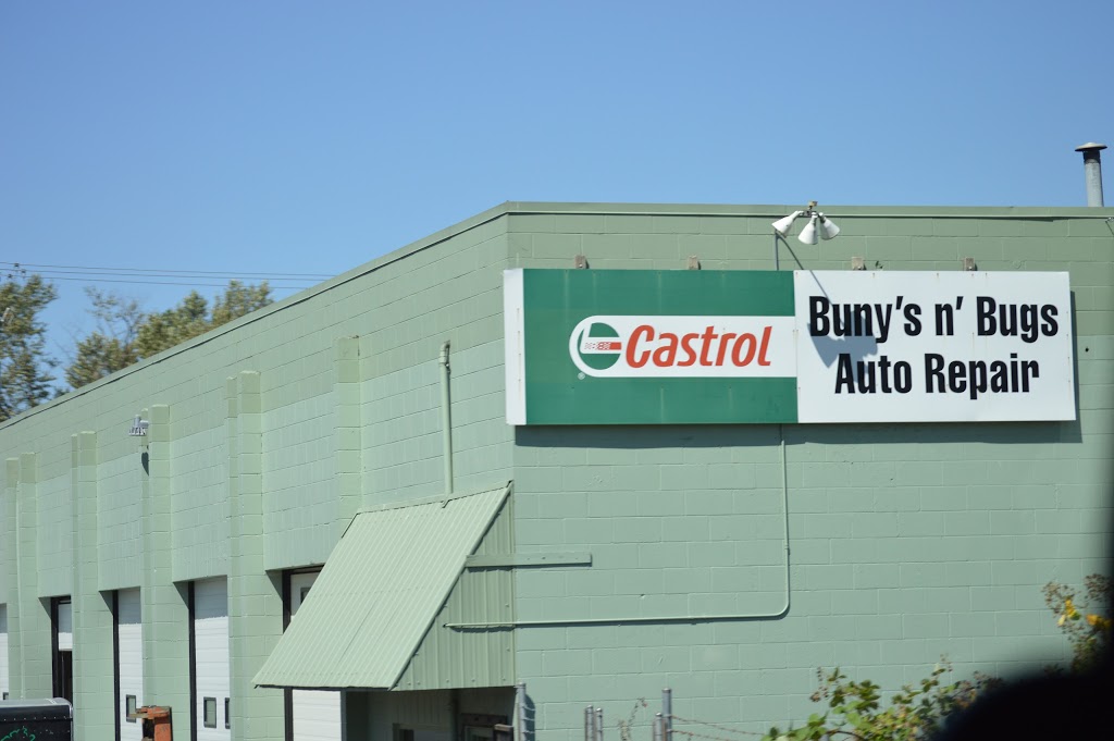 Bunys N Bugs | 44344 Yale Rd, Chilliwack, BC V2R 4H2, Canada | Phone: (604) 795-2869