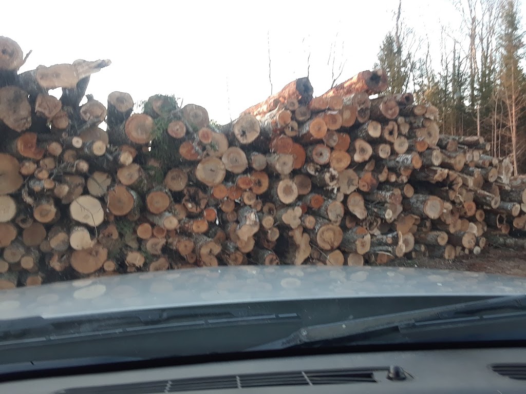 Philip Duecks Firewood | 1371 Northfield Rd, Upper Kennetcook, NS B0N 2L0, Canada | Phone: (902) 305-0148