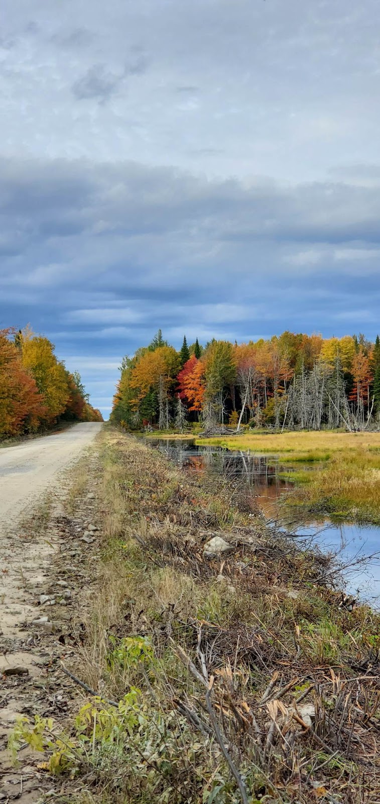 Tales & Scales Guiding Services | Schofield St, Miramichi River Valley, NB E9E 2E8, Canada | Phone: (506) 232-8466