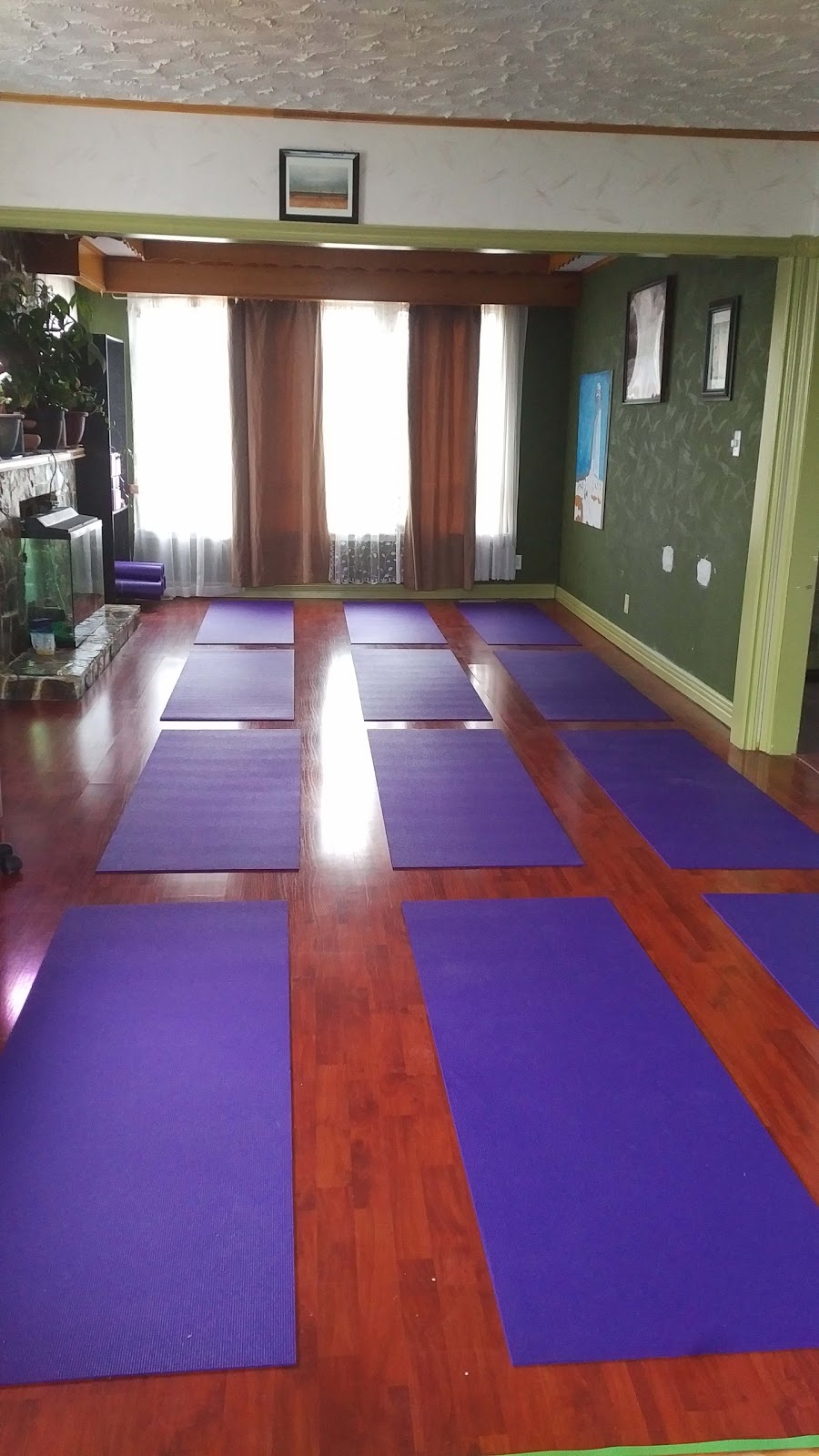 Bareneed Yoga | 157 Bareneed Rd, Clarkes Beach, NL A0A 1W0, Canada | Phone: (888) 229-5214