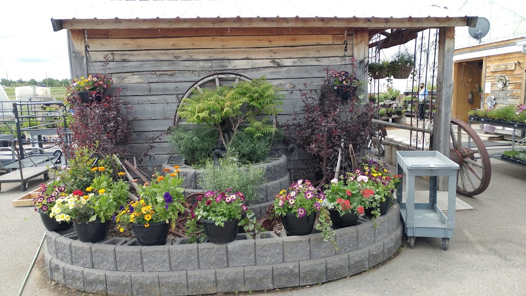 Country Furniture And Greenhouse. | Foothills County, Okotoks, AB T0L 0A0, Canada | Phone: (403) 938-4094