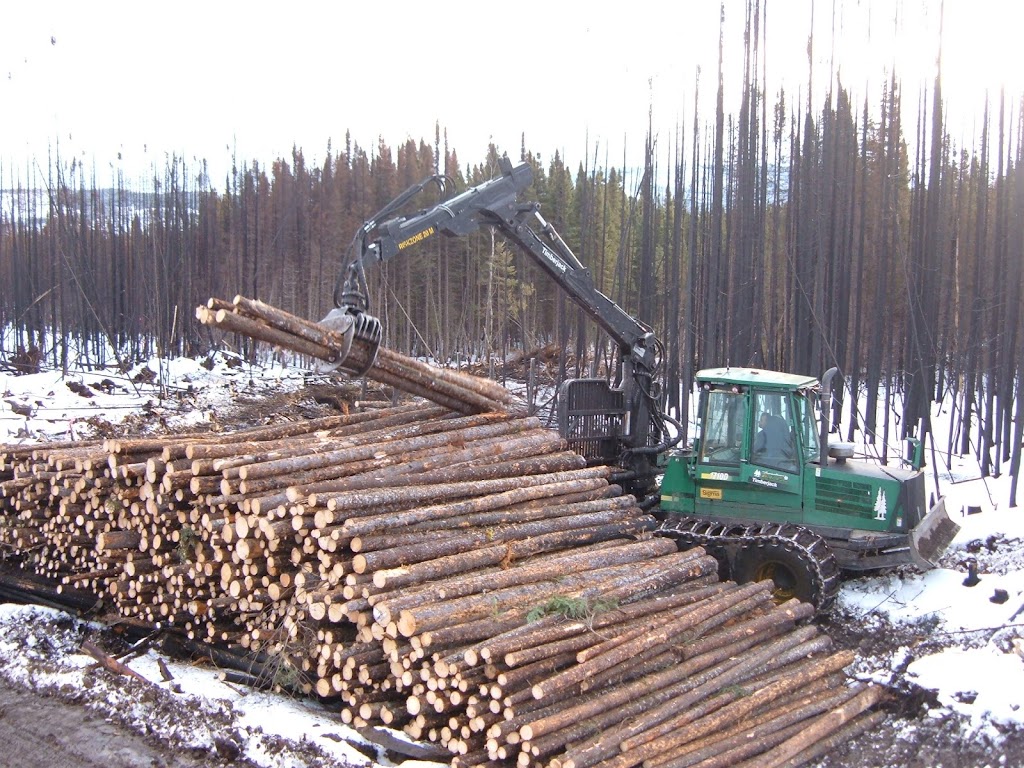 Coopérative Forestière de Petit Paris | 576 Rue Gaudreault, Saint-Ludger-de-Milot, QC G0W 2B0, Canada | Phone: (418) 373-2575