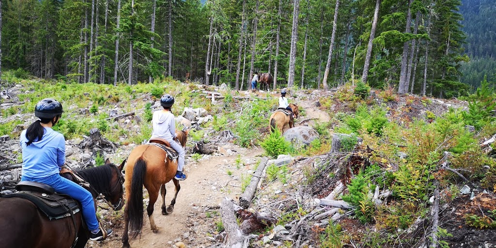 Whistler Stables Inc | 55 BC-99, Whistler, BC V0N 1B1, Canada | Phone: (604) 938-3629