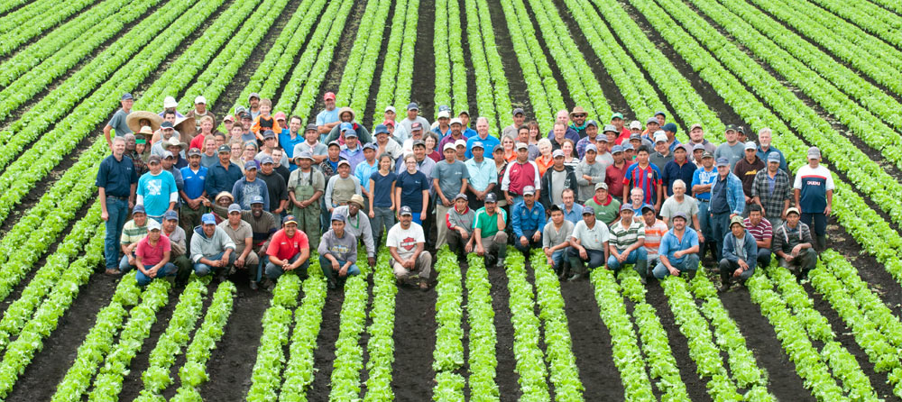 Ferme Beltaire Inc | 160 Chemin des Petites-Terres, Yamachiche, QC G0X 3L0, Canada | Phone: (819) 340-0006