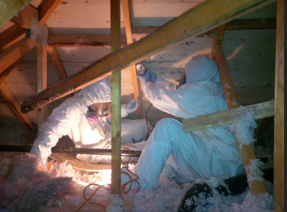 Canadas Restoration Services Asbestos Removal Mississauga | 1 Dove Hawk Way, North York, ON M2R 3M1, Canada | Phone: (416) 479-8606