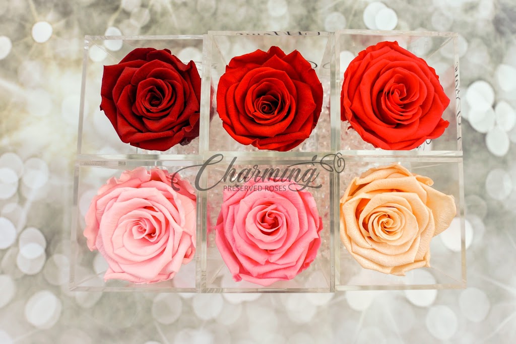 Charming Roses | 23 Betty Nagle St, North York, ON M9M 0E3, Canada | Phone: (437) 248-7902