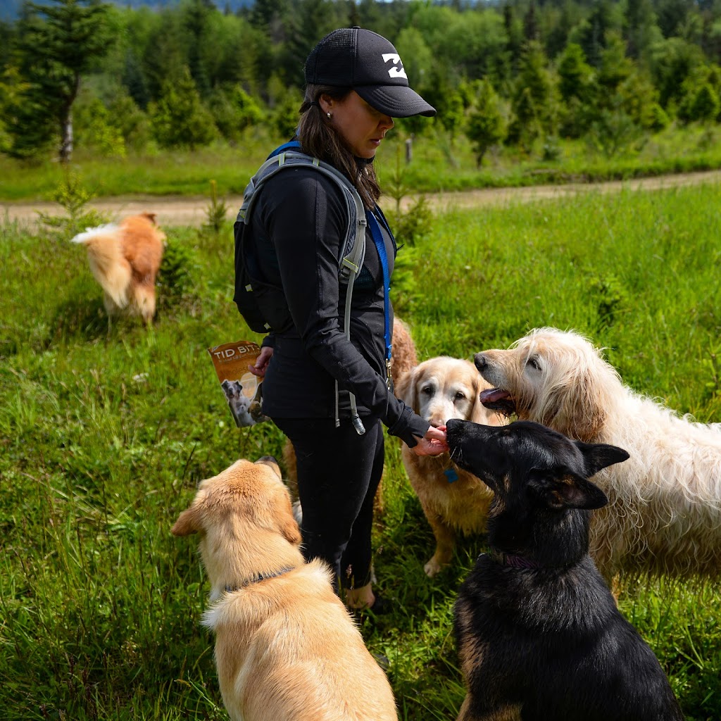 K9 Trekkers | Shawnigan Lake, BC V0R 2W3, Canada | Phone: (250) 516-8052