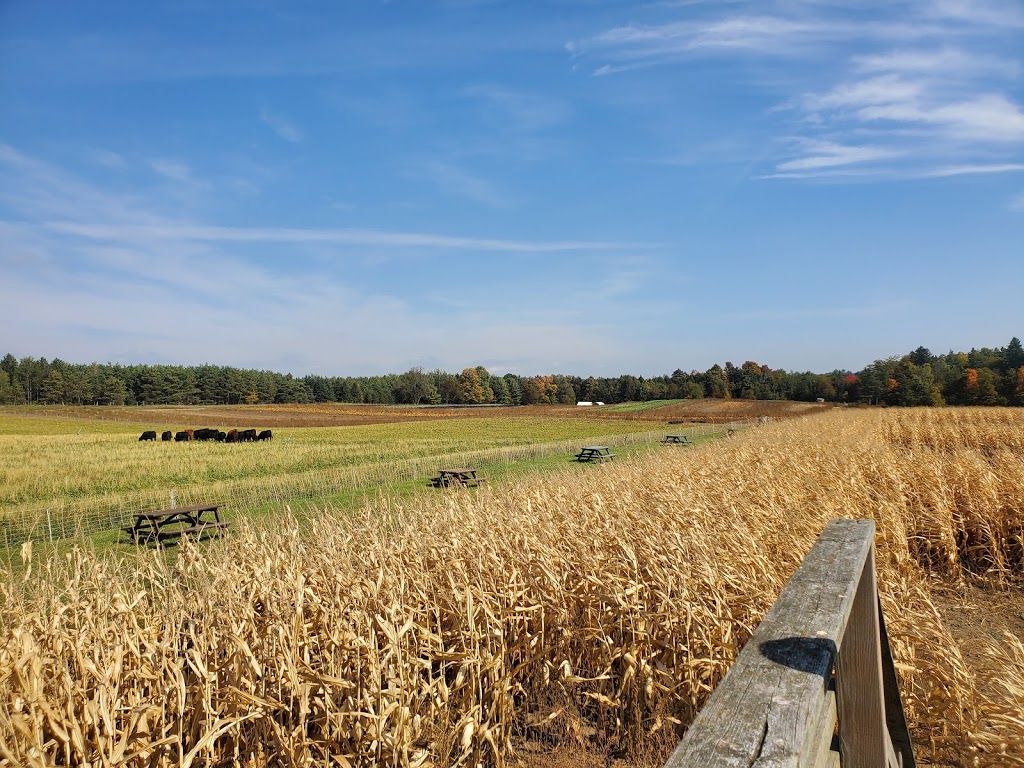 Coopers CSA Farm & Maze | 266 Ashworth Rd, Zephyr, ON L0E 1T0, Canada | Phone: (905) 830-4521