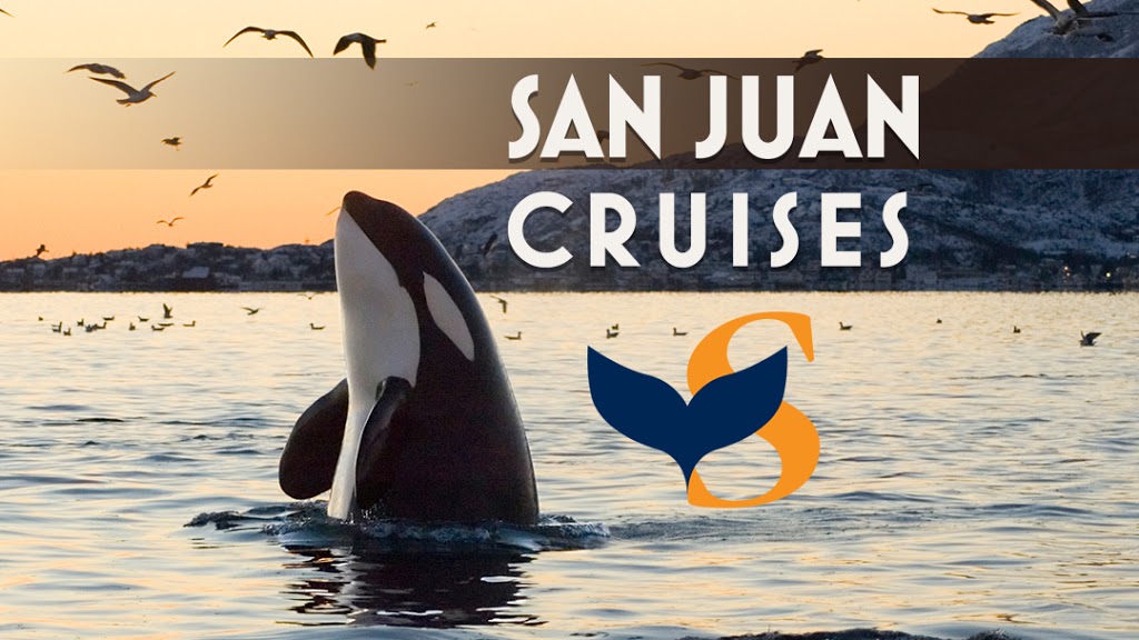 San Juan Cruises | 355 Harris Ave #104, Bellingham, WA 98225, USA | Phone: (800) 443-4552