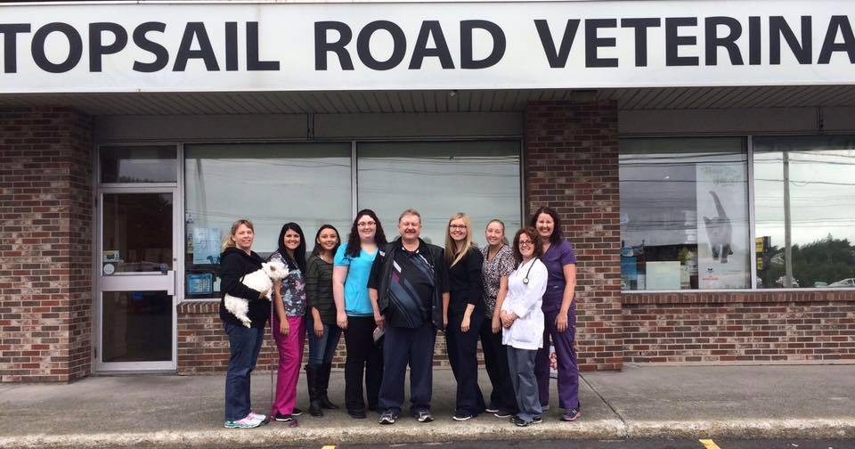 Topsail Road Veterinary Clinic | 860 Topsail Rd, Mount Pearl, NL A1N 3J7, Canada | Phone: (709) 747-5353