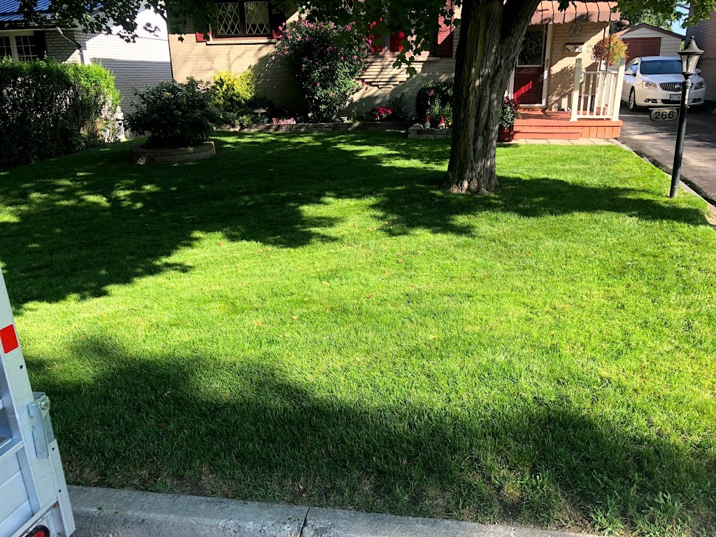 Peterborough Professional Lawn Care & Property Maintenance | 317 Mason Ave, Peterborough, ON K9H 4W4, Canada | Phone: (905) 925-2503