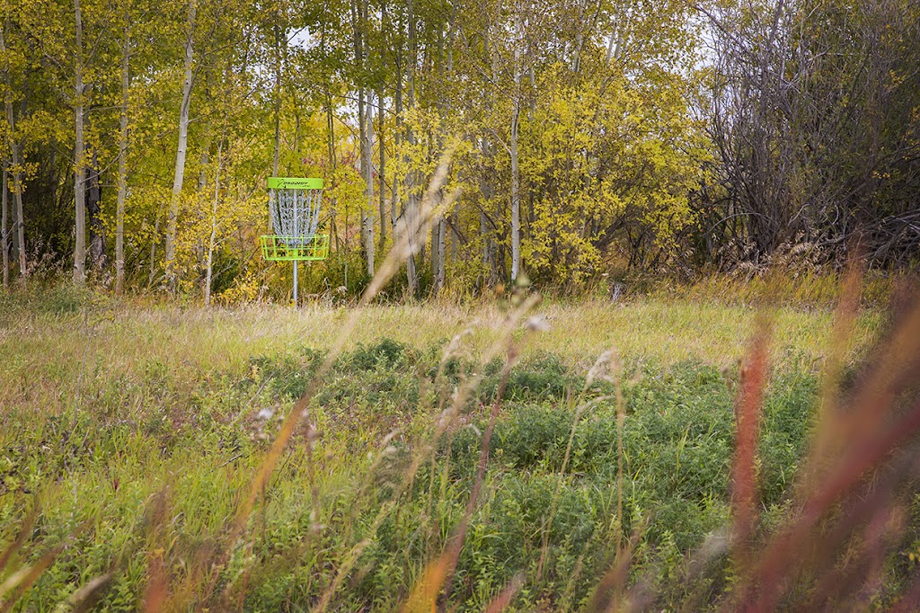 Rosemary Disc Golf | 200 Railway Ave W, Rosemary, AB T0J 2W0, Canada | Phone: (403) 378-4246